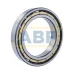 Подшипник шариковый радиальный однорядный 6020M/C4 SKF