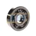 Подшипник шариковый радиальный однорядный 6407/C3 SKF