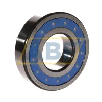 Самоустанавливающийся шариковый подшипник двухрядный 1310ETN9/W64 SKF
