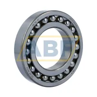 Шариковый подшипник 1213EKTN9 SKF