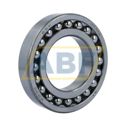 Шариковый подшипник 1213EKTN9 SKF