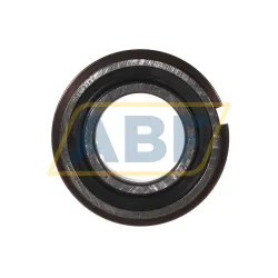 Подшипник шариковый радиальный однорядный 6006 2RS1NRJEM SKF