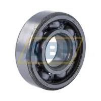 Подшипник шариковый радиальный однорядный RMS8 SKF