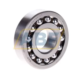 Самоустанавливающийся шариковый подшипник двухрядный 1305EKTN9/C3 SKF