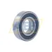 Подшипник шариковый радиальный однорядный 6206-2RS2/C3GJN SKF