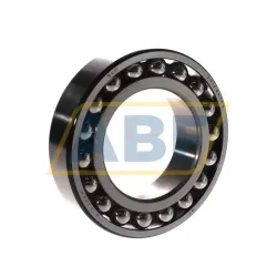 Самоустанавливающийся шариковый подшипник двухрядный 2216EKTN9 SKF