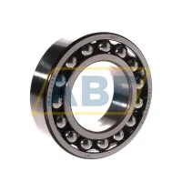 Самоустанавливающийся шариковый подшипник двухрядный 2213ETN9/C3 SKF