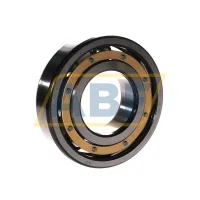 Подшипник шариковый радиальный однорядный 6313M/C3S0VQ335 SKF