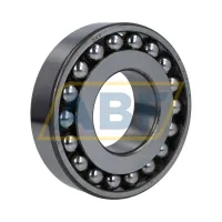 Самоустанавливающийся шариковый подшипник двухрядный 1313ETN9/C3 SKF