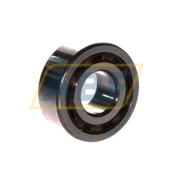 Подшипник шариковый радиальный двухрядный 4204ATN9 SKF