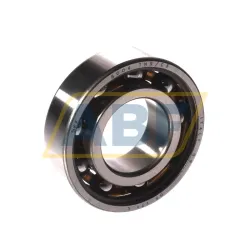 Подшипник шариковый радиальный однорядный 6004TN9/C3 SKF