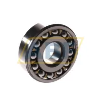 Самоустанавливающийся шариковый подшипник двухрядный 1303EM/P62 SKF