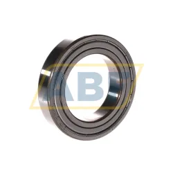 Уплотнение 6010-2Z/C3 SKF