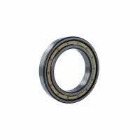 Подшипник шариковый радиальный однорядный 6022M/C4 SKF