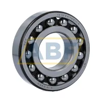 Самоустанавливающийся шариковый подшипник двухрядный 1310EKTN9/C3 SKF