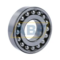 Самоустанавливающийся шариковый подшипник двухрядный 1309EKTN9/C3 SKF