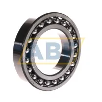 Самоустанавливающийся шариковый подшипник двухрядный 1215/C3 SKF