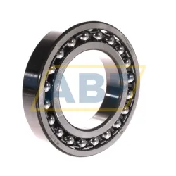 Самоустанавливающийся шариковый подшипник двухрядный 1215/C3 SKF
