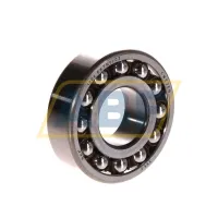 Самоустанавливающийся шариковый подшипник двухрядный 1204EKTN9/C3 SKF