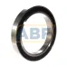 Подшипник шариковый радиально-упорный однорядный S71922CDGA/P4A SKF