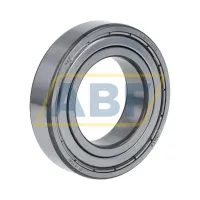 Подшипник шариковый радиальный однорядный E2.6007-2Z/C3 SKF