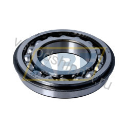 Подшипник шариковый радиальный однорядный 213-ZNR SKF