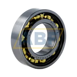 Подшипник шариковый радиальный однорядный 6005Y GMN Paul Müller Industrie