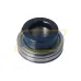 Подшипниковый узел AELS208-108D1NR NTN