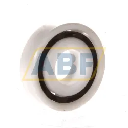 Подшипник шариковый радиальный однорядный 6305POM/PA/POM HAKU
