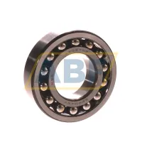 Самоустанавливающийся шариковый подшипник двухрядный 1206TNG NSK