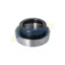Подшипниковый узел EX.218.G2 SNR