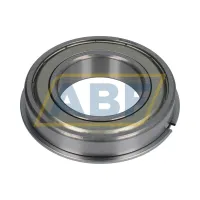 Подшипник шариковый радиальный однорядный BL210ZNR NSK