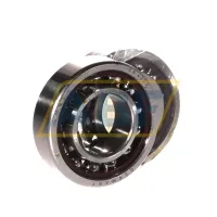 Подшипник шариковый радиально-упорный однорядный SN6205C TA UP RI DUL GMN Paul Müller Industrie