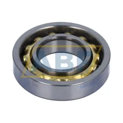 Подшипник E19 NSK