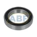 Подшипник шариковый радиальный однорядный 6013VVCM AV2S NSK