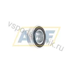 Подшипник шариковый радиальный однорядный 6002-2RS J P53 Zwicker