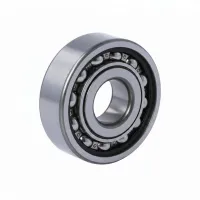 Подшипник шариковый радиальный однорядный 6300LLUCM NTN