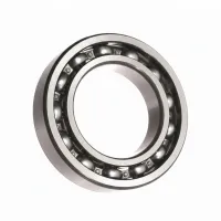 Подшипник шариковый радиальный однорядный 6011NR NSK
