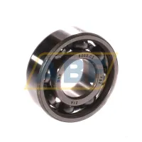 Подшипник шариковый радиальный однорядный 6203.C3 SNR