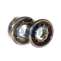Подшипник шариковый радиально-упорный однорядный BNT6204C TAM UP RI DUL GMN Paul Müller Industrie