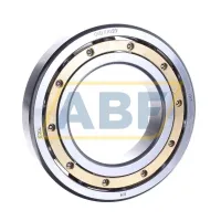 Подшипник шариковый радиальный однорядный DGB117020 NKE
