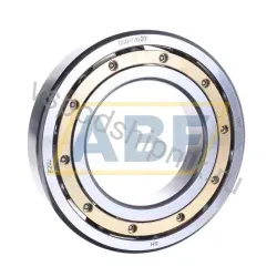 Подшипник шариковый радиальный однорядный DGB117020 NKE