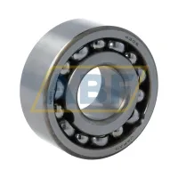 Подшипник шариковый радиальный двухрядный 4305 NSK