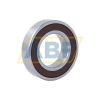 Шариковый подшипник 6006L11-H-20DDU GVS NSK