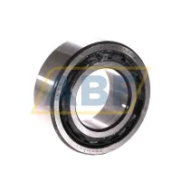Подшипник шариковый радиально-упорный двухрядный 3209BTNGC3 NSK
