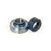 Подшипниковый узел GRAE20RRB.CA066 Craft