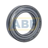 Подшипник шариковый радиальный однорядный 6011 ZZ C3 ITS