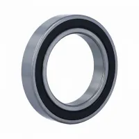 Подшипник шариковый радиальный однорядный 6015 2RS WD