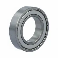 S61903ZZ PTN