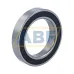 61909-2RS ZEN